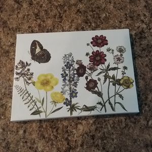 Butterfly Botanical art